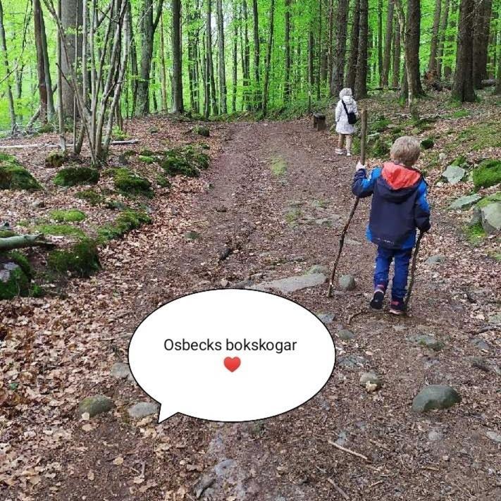 Laholms Vandrarhem Buitenkant foto